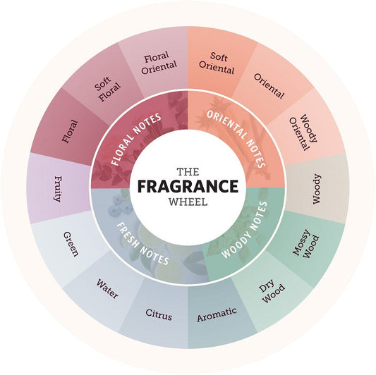 Fragrance Families Explained, Which one are you?